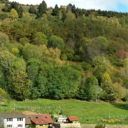 Les Lupins Bed & Breakfast Geishouse Exterior foto